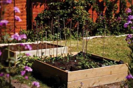 Small-Scale Crop Rotation: Inspired Vegetable Gardening Image